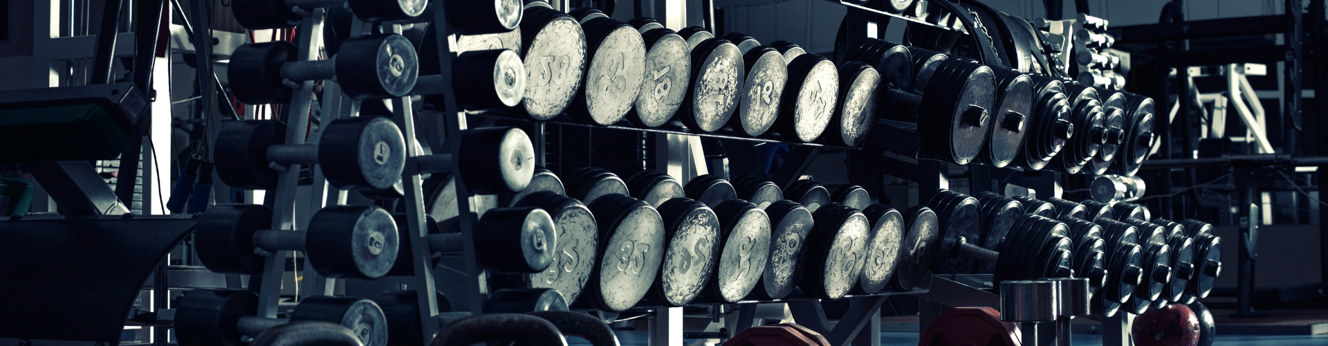 Gyms & Fitness Centers